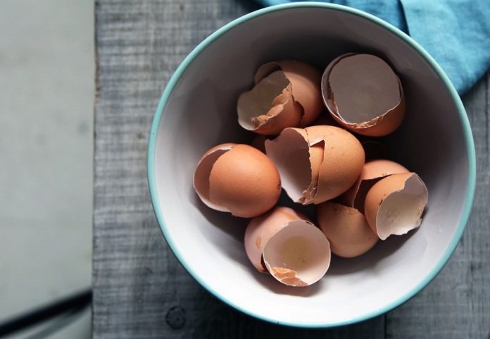 Skorupki jajek dla psa - o co chodzi, dawkowanie, ile skorupek, czy są zdrowe dla psa (2)